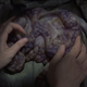 Illustration for article titled Only David Cronenberg could make gaming look this weird and gross